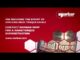 HandTorque Multiplier Range (Subtitled)