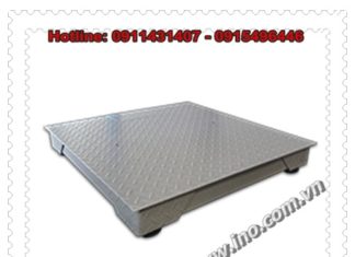 PLATFORM SCALE -STAINLESS STEEL, PPB SCALE