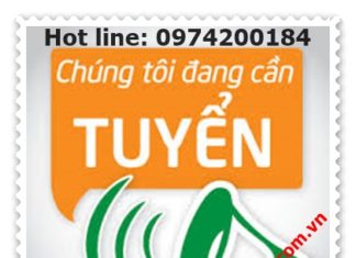 Tuyển dụng kỹ sư bán hàng kỹ thuật (SL: 02)